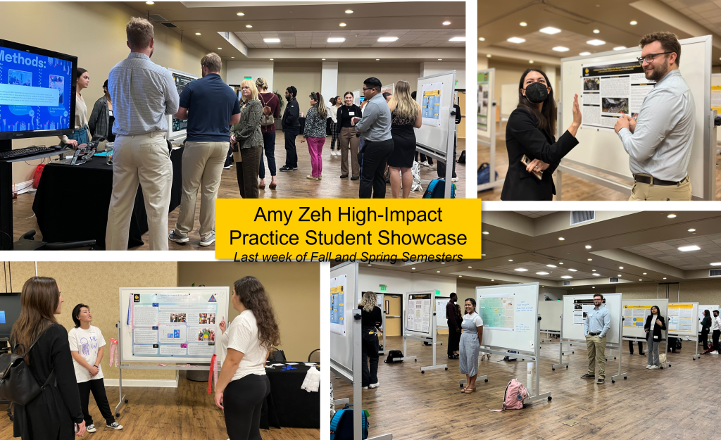 Amy Zeh High Impact Student Showcase Last week of Fall and Spring Semesters4 images of students standing at their posters