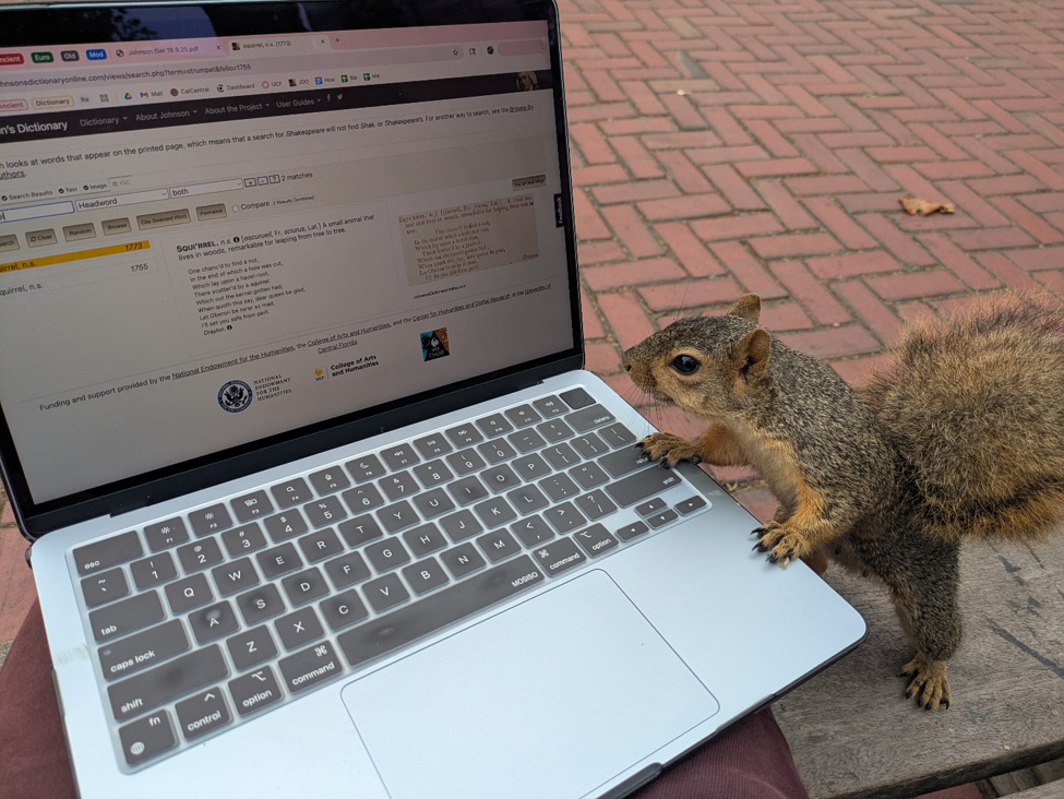A squirrel appearing to read a laptop