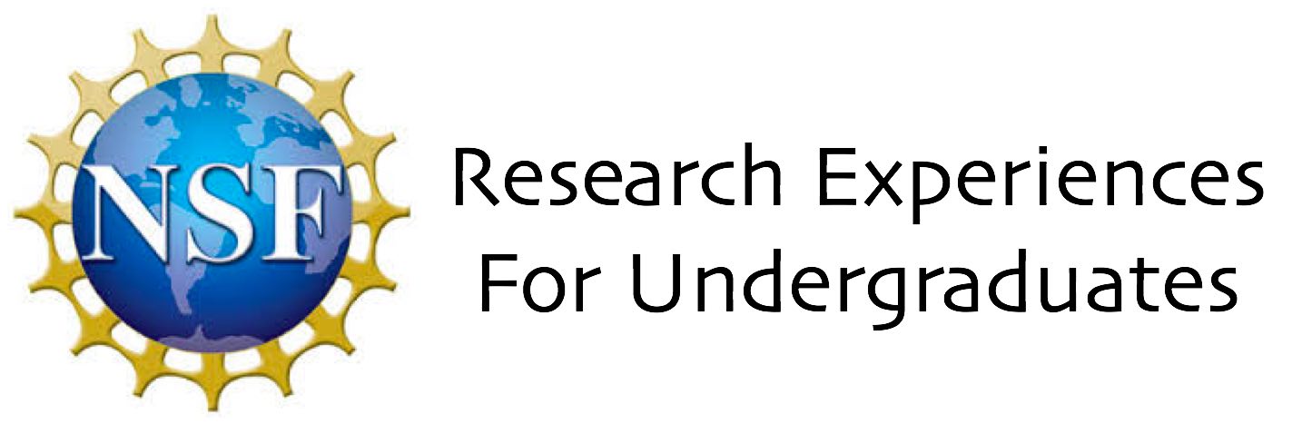 Home - Research Experience for Undergraduates (REU)